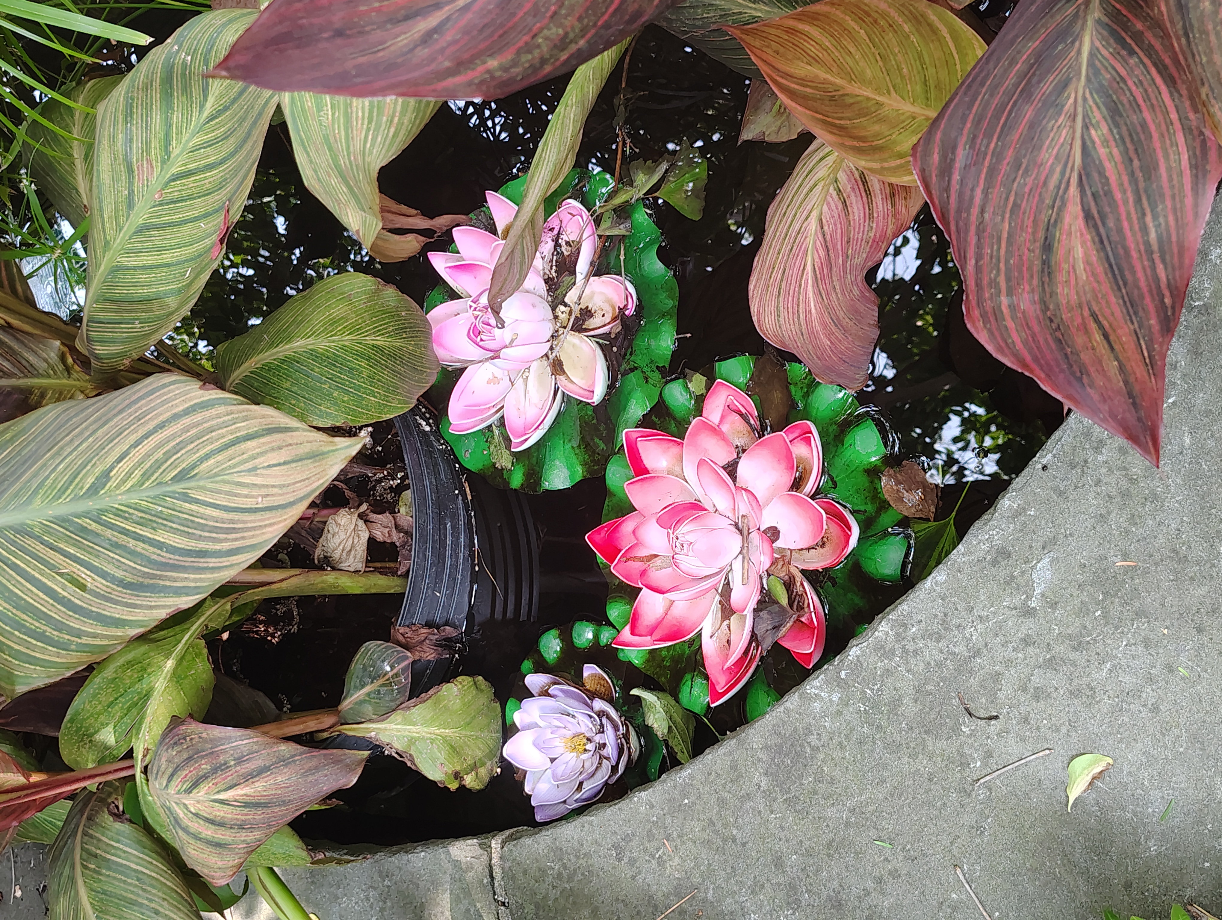 Botanical Garden Inspiration